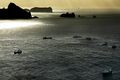 Brestur Loðnuskip munu ekki sjást við Vestmannaeyjar á næstunni.