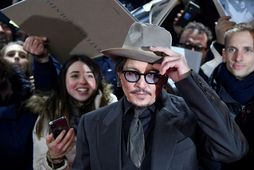 Johnny Depp fær ekki að áfrýja.